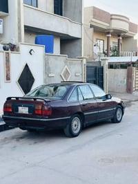 سيناتور • وكيل شرعي • بلا طخه