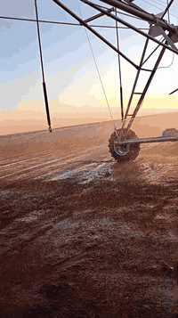 النجف • ٤٠٠ دونم • مرشات محورية