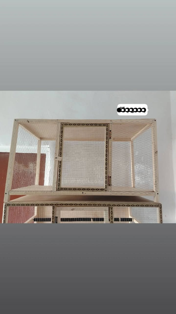 سلام عليكم 
🕊️ للبيع قفص  🕊️مناسب لجميع أنواع الطيور

✨ تصميم أنيق وتشطيب احترافي

🌲 مصنوع من خشب طبيعي عالي الجودة

سيم  مغلون  مقاوم  للصدأ✅

🔒 أبواب عملية وآمنة

📏 مساحة واسعة ومناسبة لمختلف أنواع الطيور

💪 متين وعمره طويل

باقي التفاصيل عل وتساب
 
📍مكان ذي قار قضاء الفجر

توصيل حسب الاتفاق 

📍 متوفر بسعر مناسب
                                                     واتساب 👇 
📞 للاستفسار والطلب: ***********
