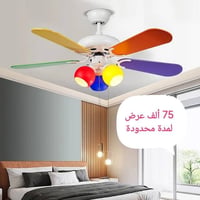 مراوح سقف • باكستاني • ضمان