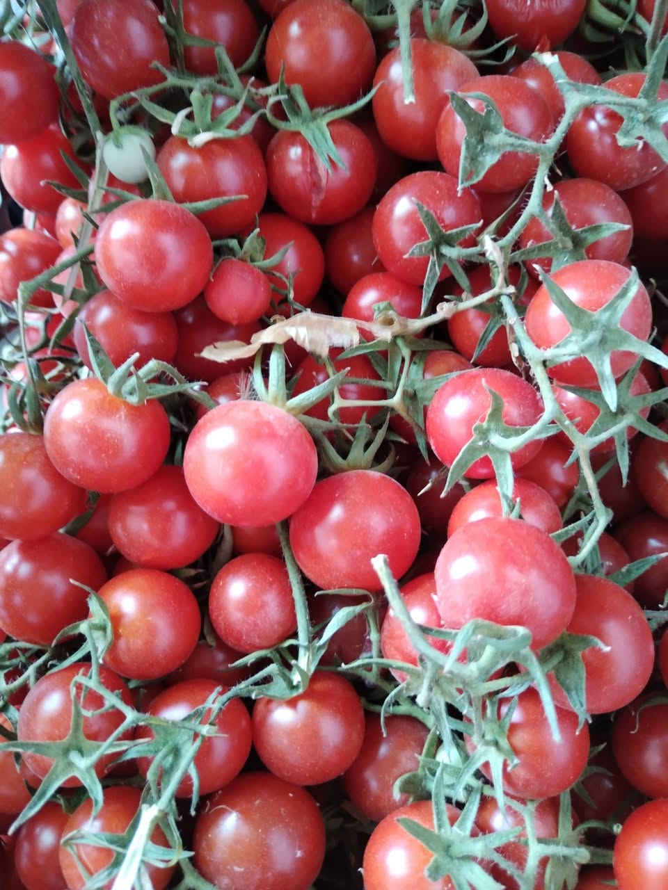 السلام عليكم
طماطه رصاصية درجة أولى ٣ كيلوات بألفين 🍅🍅🍅🍅🍅🍅 الكمية محدودة


**إذا كنت صاحب هذا الإعلان وتريد حذفه لأي سبب، رجاءا أرسل رسالة إلى الدعم الفني**