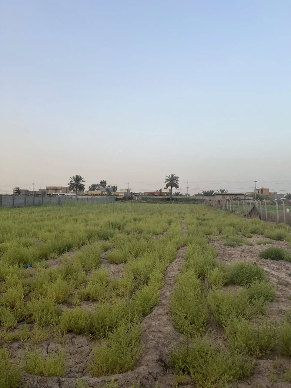 2دونم للبيع طابو زراعي سند 25باسم البائع

عالشارع سنتر مسيج من اربعه جهات

خدمات كامله ماء كهرباء تبليط

الموقع //ورديه داخل منطقه الامام

للاستفسار اكثر الاتصال على الرقم 

***********
