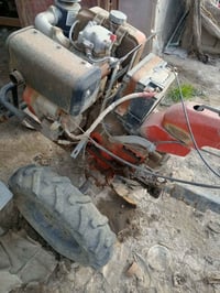 رباشه • شغاله • الديوانية