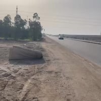 ارض زراعي • ٢٥٠م • طريق ناصريه سوگ