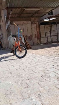 بايسكل ابو الطبكة للبيع البايسكل جديد معنة الكلمة كلبة بصور وشوف مكان ...