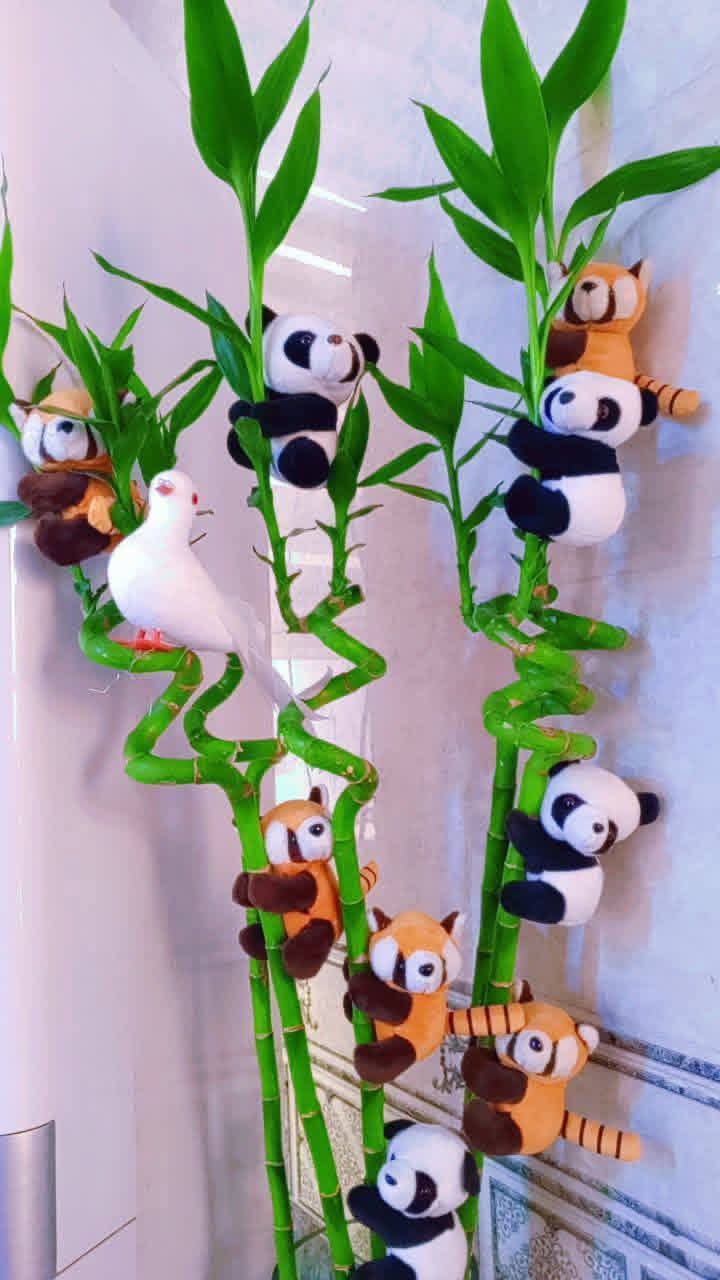 🎉عرض بمناسبة العيد🎊🎊
🐼الباندا ٥ قطع ١٠ الف🐼🦊
🐼🦊راكون ٤ قطع ١٠ الف🐼🦊
جيس دعسوقة الف 🐞
توصيل كل محافظات العراق 🚕 
لحجز على خاص ☎️ 
☎️***********☎️
