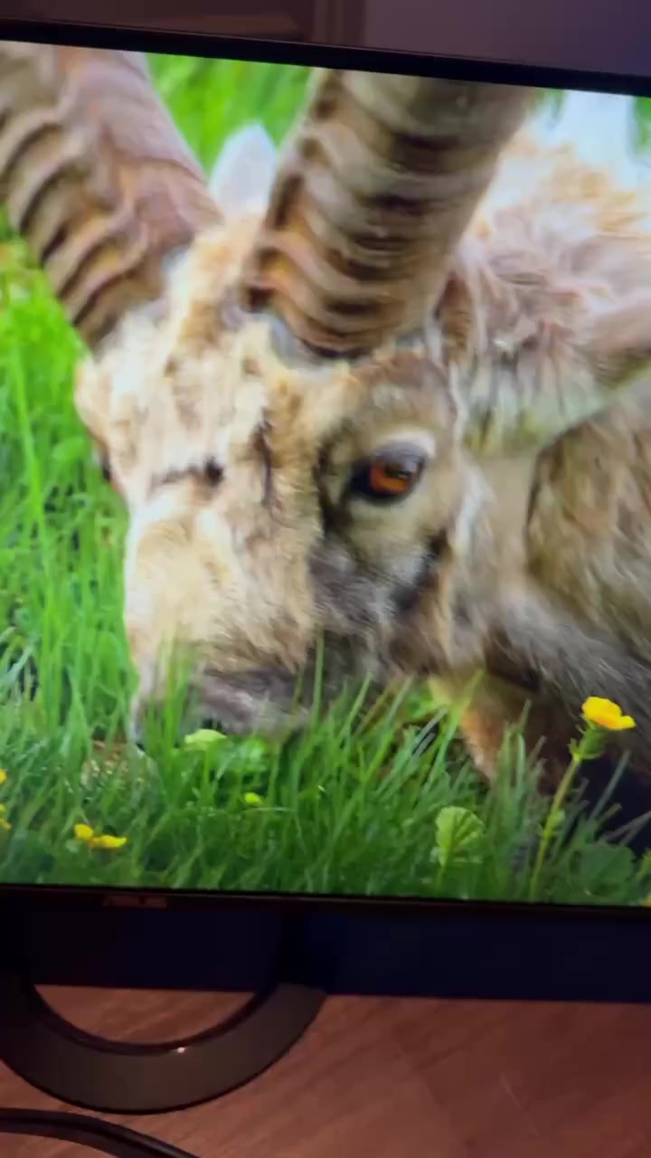 التفاصيل بالفيديو 
للحجز وتساب او خاص *********** 
متوفر غير موديلات ايضاً على قناة التليجرام رابط مثبت بالصفحة حياكم الله
