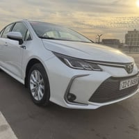 كورلا • ٢٠٢٣ • رقم اربيل