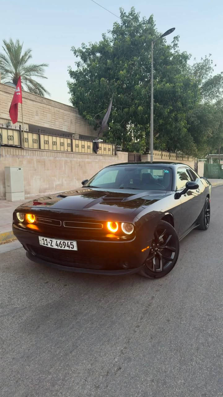 سلام عليكم
دوج جالنجر sxt 23 last call الاصدار الاخير تو ويل كلين تايتل بدون حادث تقرير مياه امطار كفالة مكينة كير اكسل كهربائيات حدادية بشرط ولا كلوب مشتغل بيهة ماشية ٤٦الف مايل
السياره مبدل دهن جديد وتخم تايرات جدد وميبويلهة نانوسيراميك السعر ٢٢٥ اي استفسار هذا رقمي
***********
