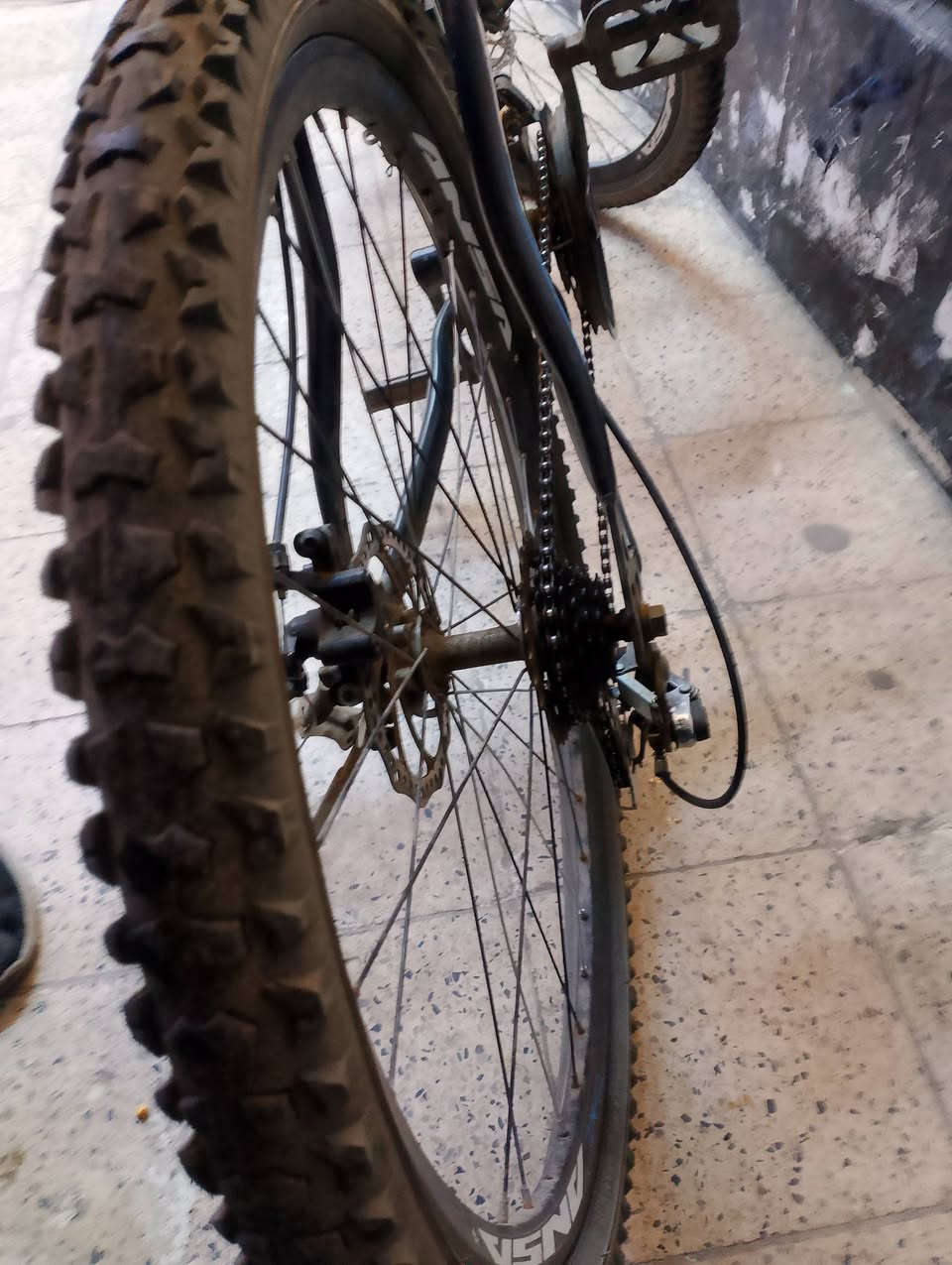 بايسكل نضيف حجم 26 كير الامامي وخلفي شغالين اسطاب الورة شغال الكدام يرادلو قمچه غير مصبوغ للتواصل على صفحة التيك توك msa8664h السعر 60 وبي مجال


**إذا كنت صاحب هذا الإعلان وتريد حذفه لأي سبب، رجاءا أرسل رسالة إلى الدعم الفني**