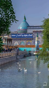 زيارة كربلاء • للعوائل • فلكة العلماء