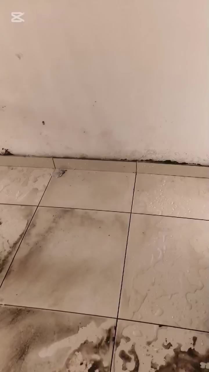 ***********//***********
