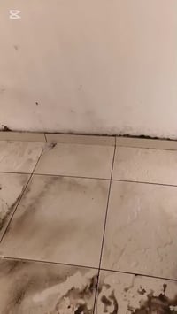 07710867100//07859393123