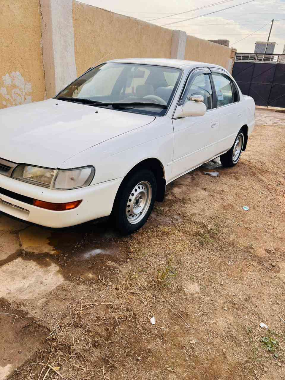 كورلا موديل ١٩٩٤رقم كربلاء تحويل مباشر كفاله من ضربه بيه رشات صبغ بسيطه محرك ١٨٠٠ كير حاويه إستوني شاده حداده امامي خلفي تخم تاير كرهبائيات كله شغاله غرفه جديده  تغليفه ارضيه جلد   منظومه زنون سياره جاهزه للأخير مابيه اي نفقص سعر ٥٧ وبيه مجال للاستفسار الاتصال ع *********** *********** مكاني ذي الرفاعي
