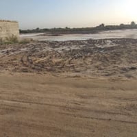 الفاو ناحية البحار • ٥٠٠م • سند طابو ٢٥