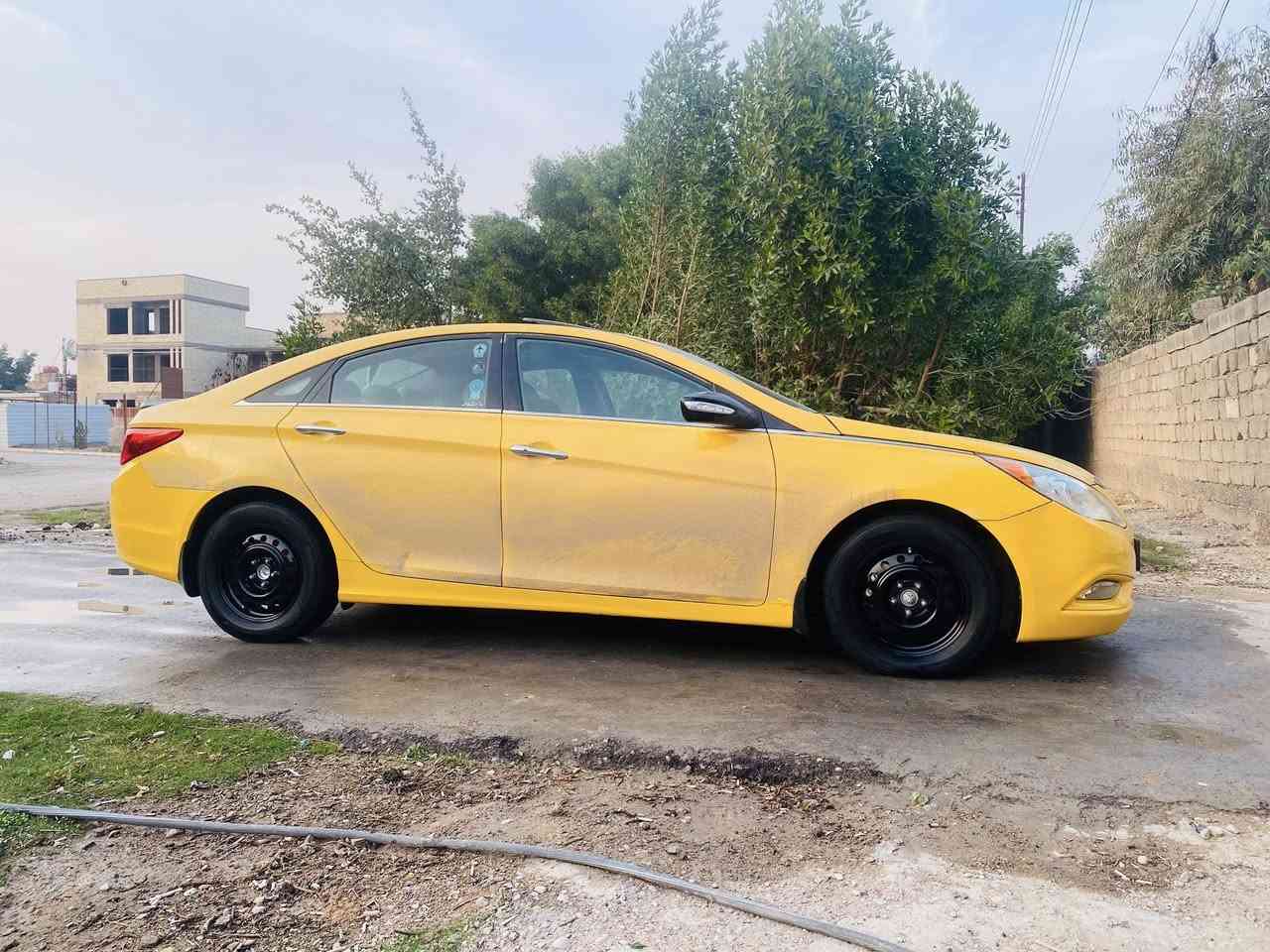 السلام عليكم تخم وياله 16 سوناتا للبيع او مراوس  بحجم 15 خط ابيض مكاني بغداد
