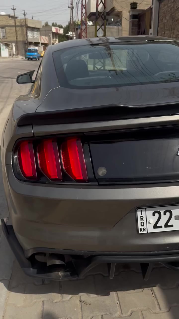 السلام عليكم 

موستنك 2017 🐍 
 محرك v6 3.7🐎
لون رصاصي فيلي ☑️
رقم اربيل سنويه بأسمي ✔️
ممشه السياره 91 mi 
(السياره عليها ادامه كامله )♦️
ومحدثه دعامية وبنيد شيلبي 
ويل ويلد وتخم تايرات جدد🛞
داخل كاربون احمر 
كامره خلفيه 
حساسات خلفيه
دفيوزر شيلبي 🔥
يدات كابرون + كفرات مرايه كاربون
صدر كامل امامي خلفي جديد
عدسات عالي ناصي ليزريه 
لدات متغيره عمل درجه أولى تحكم على طريق الموبايل 
السياره عدت صبغها عام للجماليه لان جان الصبغ تعبان شويه 
مصروف على السياره كلش اهواي وناصبه نصبه حلوه  
وبالعافيه على الياخذها 
( السعر 125 ) 🔴
الموقع بغداد 
*********** غير متواجد تواصل فقط اتصال اخوان
