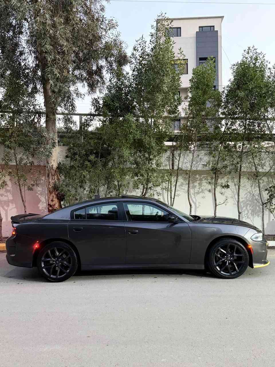 ‎جارجر جي تي 
CHARGER (GT)
*ملاحظه والسياره اشكد ماكول جديده مو مثل جدادة الحقيقه وصور الحادث والسونار خاص
‎الموديل :2022  . (وارد امريكي حادث جاملغ جهة السايق + باب جهة الصدر ايرباك طاك وراجع سستم دشبول مبدل جديد السياره بدون قطرة صبغ كله تبديل نفس الون) . 
‎العداد :50  الف ميل . 
‎المحرك : V6 .  3.6L .
‎المواصفات :
‎* جناح خلفي . 
‎* ويل قياس 20 انچ اسود  . 
‎* مقاعد رياضية مخمل .
‎* مصابيح أمامية زنون . 
‎* كشافات الضباب زنون . 
‎* المصابيح الأمامية مع LED . 
‎* حساسات خلفية. 
‎* شاشه كبيرة مع نظام ملاحة نفكيشن GPS . 
‎* سستم صوت الپاين .
‎* المقاعد الأمامية كهربائية فقط سائق. 
‎* مقاعد أمامية تدفئة . 
‎* مقاعد خلفية تدفئة . 
‎* تشغيل عن بعد . 
‎* تدفئة مقود القيادة . 
‎* محدد سرعة . 
‎* تلفون بلوتوث . 
‎* كاميرا خلفية .
‎* مرايا متحسسة للاضاءة العالية .
‎* كير شفتر بالستيرن . 
‎* دخول ذكي (بصمة) .
                               السعر 262 ورقه وبيه مجال 
                                مكان السياره صليخ ال600
                للاستفسار *********** الفارس, صلاح الدين
