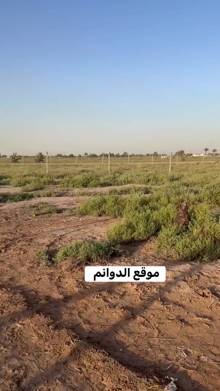 السلام عليكم يتوفر لدينا بغداد / الدوره عرب جبور الزنبرانيه 
3 دوانم طابو سند 25 قريبه ع سريع دورة يوسفيه مسافه 2 دقيقه ع سريع 
سعر الدونم الواحد ب 110 مليون مع تحويل اسمك بلسند 
وبي مجال للشراي 

للاستفسار اكثر الاتصال 
***********
