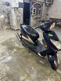 دراجة سكنس فحل الدراجة مكفولة كلش نضيفة مابيهة نقص مكاني بغداد المشتل ...