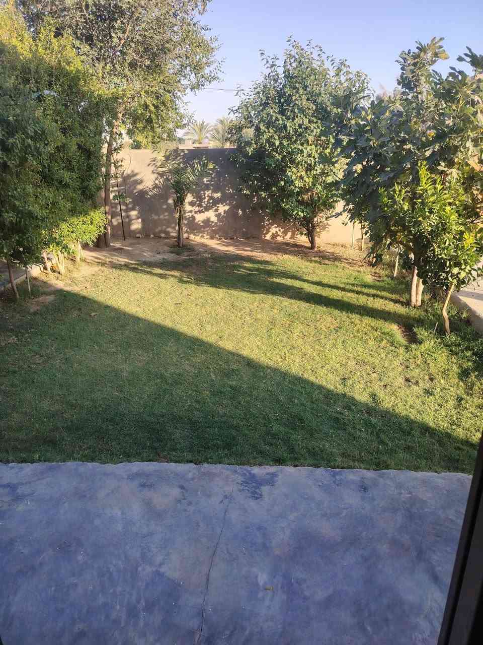 دار البيع قرب فلكت الفرسان العلم الاستفسار عله هذ الرقم ***********  ***********
