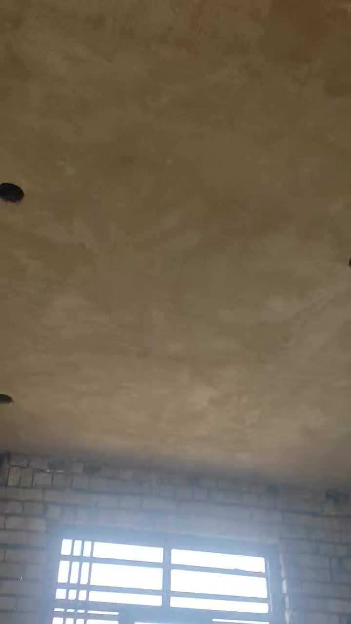 شغل درجه والئ شغل شبينتو جص ***********متفرقين حالين ونه بخدمه
