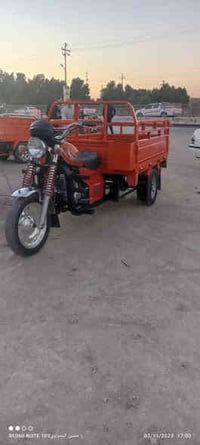 ستوته  البيع  فرس نضيفه فولل  اوراق لستفسار تصال على هاذ رقم عل فيس ما...