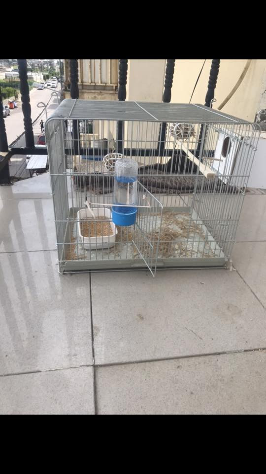 للبيع


**إذا كنت صاحب هذا الإعلان وتريد حذفه لأي سبب، رجاءا أرسل رسالة إلى الدعم الفني**