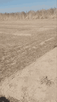 البيع 13 دونم طابو 25 عرب طاحوس مجاور المحطه النابيع ثاني قطعه عن السريع 
***********
***********
