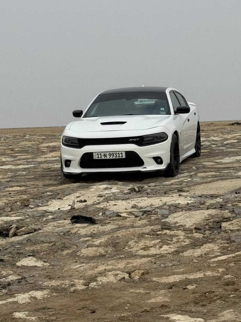 السلام عليكم 
جارجر سكات باك  6400 
موديل 16
رقم بغداد بسمي 
السيارة فول عده الفتحه 
كير مكينه كفاله مامفتوحات ابد 
صور الحادث مرفوقه بالمنشور 
رادار جانبي 
نقط عمياء
كشن تدفه تبريد 
وخزن ميموري 
دمام بالجنطه 

مكان السيارة بالكوت 
السعر 175 وبيها مجال حك الجيه 
***********
