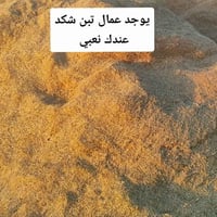 يوجد عمال تبن...... الخاص مفتوح او اتصل. 07503024067