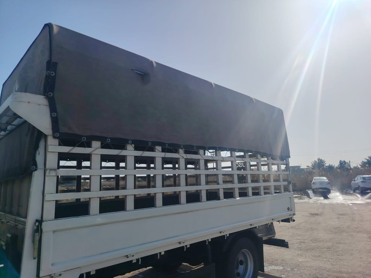 كامل هوه والقفص وجادر ‭٠٧٧٦ ٦١٥ ٣٩٠١‬
