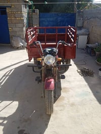 ستوتة • شغالة • اوراق ناقصة