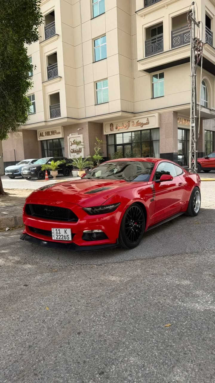السعر بلاششششش
السلام عليكم موستنك ٢٠١٥ رقم بغداد الدولي هزه جديده مداور ثاني يوم حادث امريكا ويل وموجوده صور حادث وهنا بالعراق صار بيه ربع باب صبغ فقط ماشيه ٣٦ مايل حقيقي السياره جديده بمعنى الكلمه وعليه هواي غراض شوته
ثلاجه وجويتر
دبات روش
ك لايت سموك شكل ال ٢٠
لايت متغير وعين شيطان
السياره فول بريميوم مابيه اي نقص السياره جيديده بمعنه الكلمه
مكان السياره كربلاء
السعر 157 وبيه مجال
رقم الهاتف ***********
