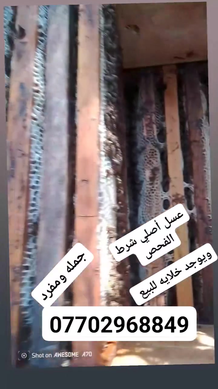 السلام عليكم. يوجد 10 كيلوات عسل طبيعي شرط الفحص ابيعهن جمله ب((25) ومفرد ب((35)) إذ شخص مريض وماعنده. يخابر ويدلل. الله شاهد عسل طبيعي
***********. بي وتساب
 اتصل وتدلل/. يوجد توصيل قره تبه/
