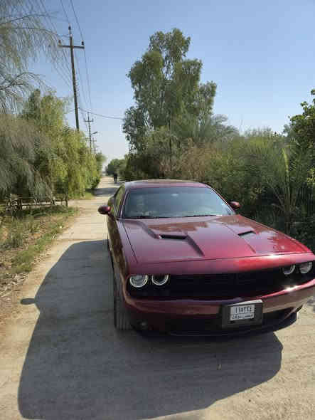 جالنجر 2023  $215
غرق مبدل ذراع
للأستفسار ***********
