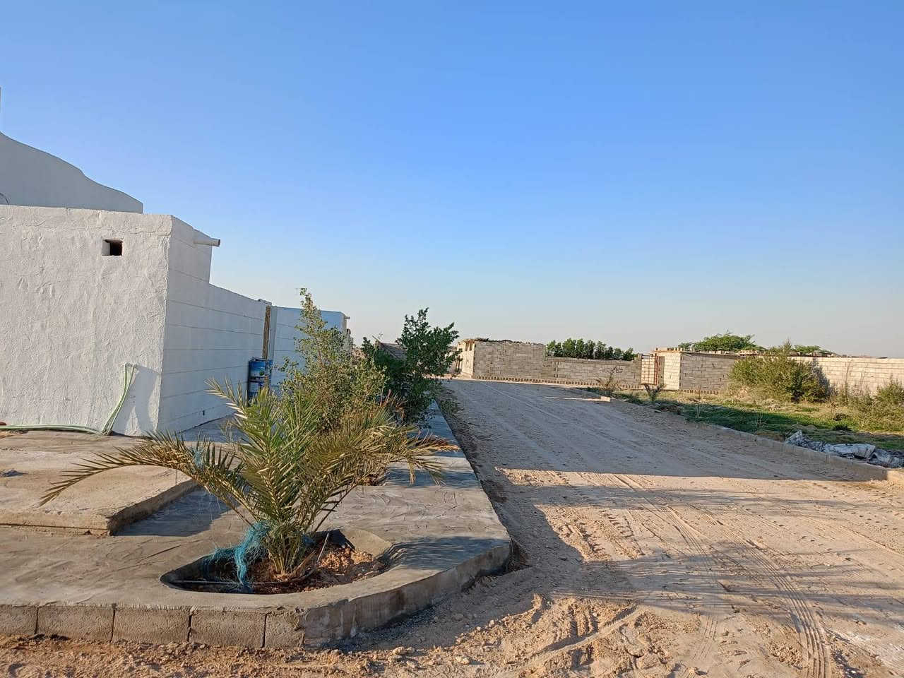 اللهم صلِّ على محمد وآل محمد
#مزرعه_مع_ثلاث_بيوت_للبيع

(المساحه.. 6 دوانم على التبليط)

واتساب فقط ***********

السعر//155 وقابل للتفاوض 

(العنوان.. الخور بعد سيطرة الخويسات بمسافه جاهزه للسكن) 

* المزرعه سته دوانم محكمه ببوابه وسياجات واشجار

تحتوي على نخل بنوعيات مختلفه وتحتوي على اشجار

1//البيت الاول..

اربع غرف نوم وصاله وموزع

وديوان كبير 10متر ومطبخ

صحيات داخليه وخارجيه 

وطارمه معزوله

2//البيت الثاني.. 

غرفتين نوم وصاله ومطبخ

وصحيات داخليه وخارجيه

وطارمه معزوله

3//البيت الثالث نفس التصميم كامل وجاهز

للاستفسار 0788221313
