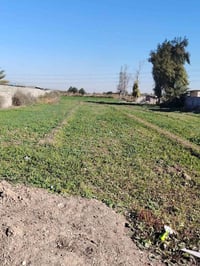 قرية المظهرية • ٥٠٠٠م • مخدومة