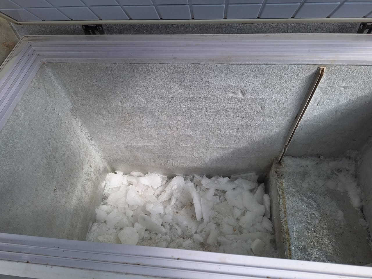 براد للبيع شرط شغال +تجميد فول سعر ٧٥


**إذا كنت صاحب هذا الإعلان وتريد حذفه لأي سبب، رجاءا أرسل رسالة إلى الدعم الفني**