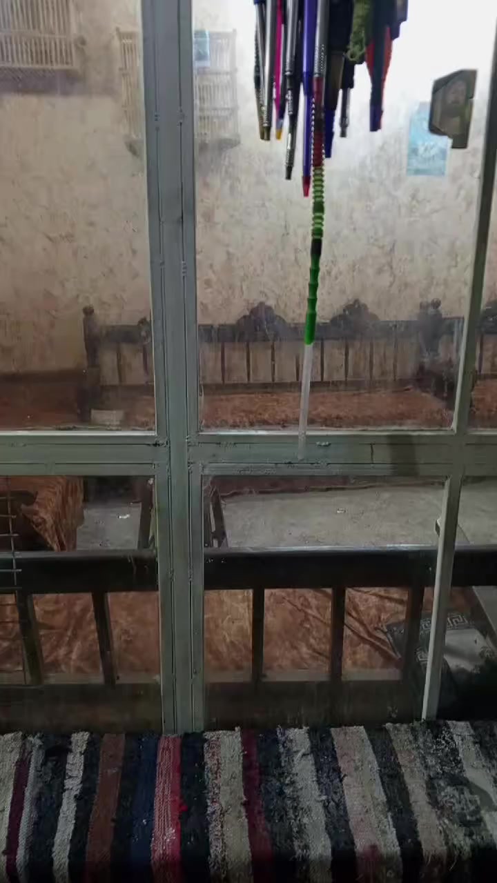 كهوه كامله هيه وغراضه للبيع المكان كوت العباسيه رقم صاحب الكهوه ***********
