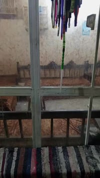 كهوة كاملة • معدات • كوت العباسيه