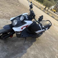 سكنس جبلي • كفاله • زنون عالي