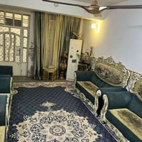 تخم  ملكي للبيع السعر 325 وبي مجال 07867347391 مكاني بغداد المشتل