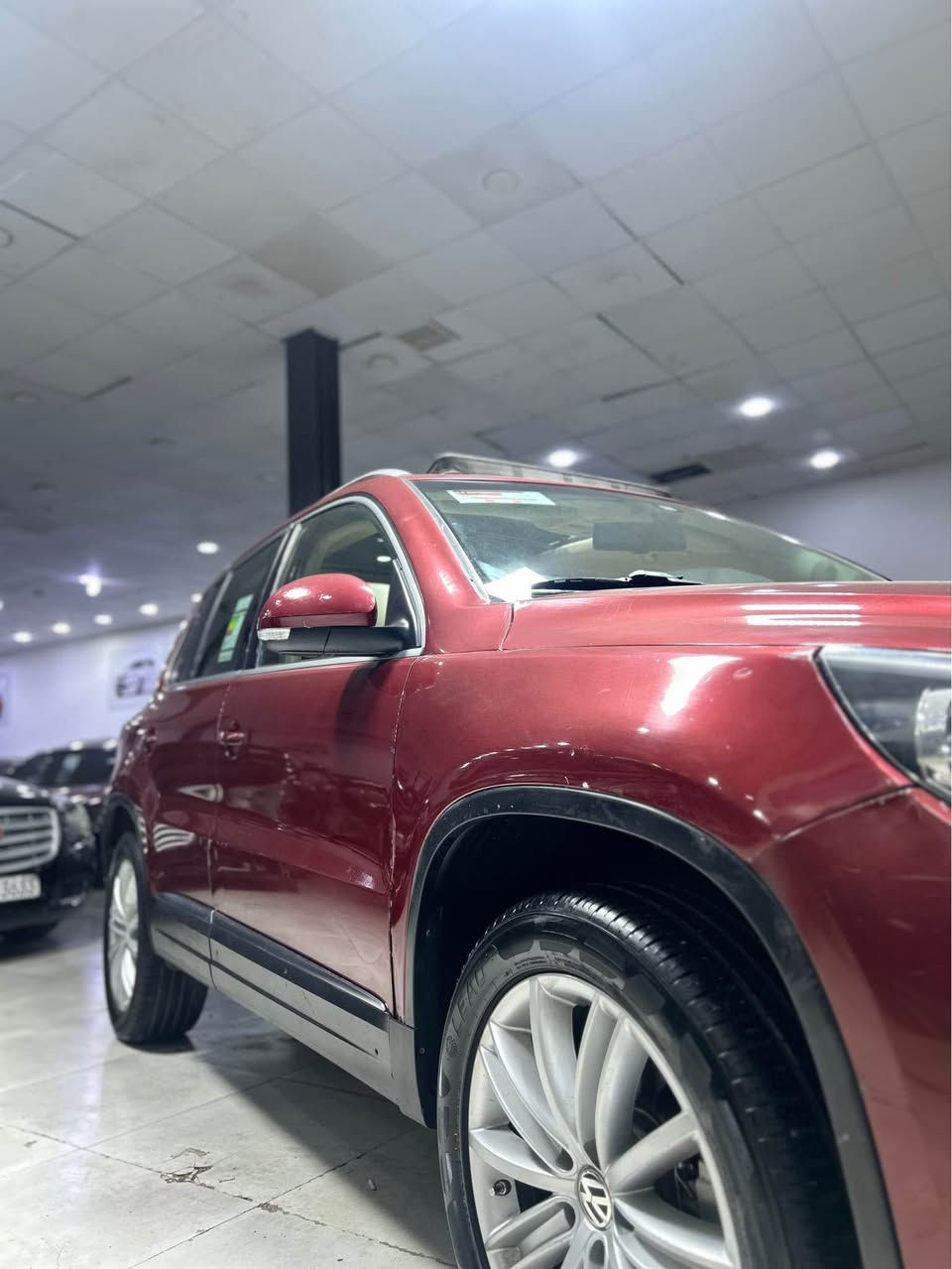 tiguan TSI 2016
تیگوان ٢٠١٦
کوشن جلدی ساردو گەرم 
شاشەو کامێرایە 
سوکان ڤۆلیۆمە
فوول مواسەفاتی پانۆراما
سیارەکە زۆر جوانە 
رسمی سۆنەرەکەم داناوە 
مەکینە ٢٠ مەرغوبە
سەیارەکە زۆر تازە ماوەتەوە ١٩٤ هەزار کیلۆمەتر رۆشتووە
گێرو مەکینەی نەکراوەتەوە بە شەرت
سەنەوی هەتا ٢٠٢٧
نرخی 83 وەرەقە و  مەعامەلە
ناونیشان: هەولێر
***********
*********** أربيل, العراق
