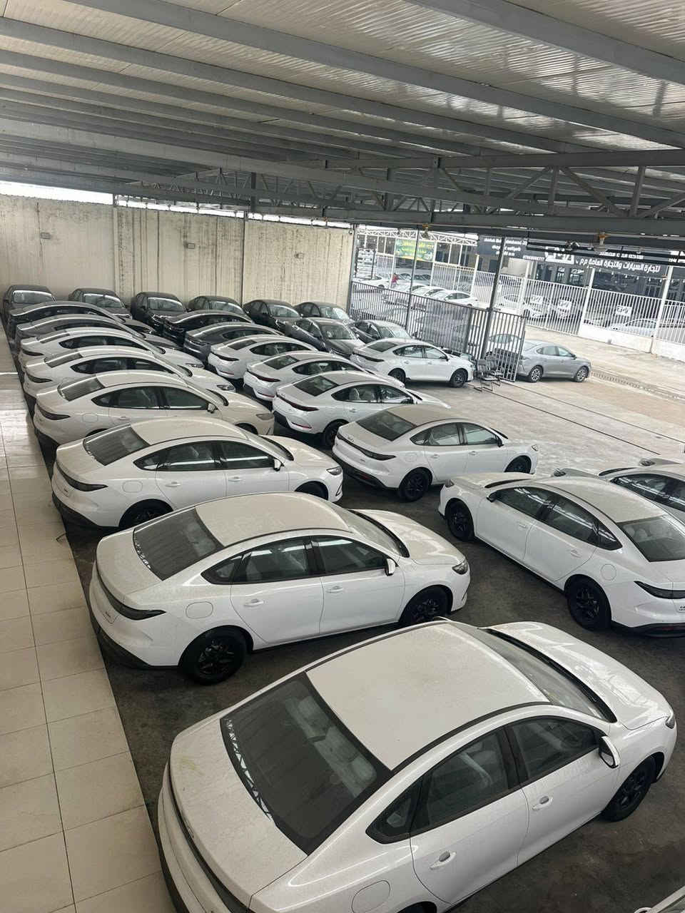 الاسعار جوه السووك 🔥
الديستروير 
الكن بلاص
سيل 5

 ويتوفر جميع انواع سيارات البي واي دي 
من قلب مخازن وساحات السيارات في اليوسفية 
للبيع المفرد والجملة

🥇مجمع معارض مدخل بغداد للسيارات
الاسعار اتصل وتدلل انسب الاسعار 

🔴بي واي دي دسترويرBYD موديل 2025 نار 🔥 
🔴بي واي دي كن بلاص BYD موديل 2025 🔥 
🔴بي واي دي سيل BYD موديل 2025 🔥 

الاسعار جدا مناسبه
        زورونا واهلا وسهلا بكم
يتوفر كافة انواع byd😍

___________________
مواصفات الكورلا 
فول الفول 
كرسي عادي 
شكل الامريكي وشكل خليجي
               
للاستفساراكثر اتصل على الأرقام التالية
🥰🥰🥰🥰☎️☎️☎️☎️

عزالدين الغريري
ادهم الغريري
***********
***********
***********
***********
📍الموقع بغداد اليوسفية قرب سيطرة 75
( مجمع معارض مدخل بغداد للسيارات)
(((معارض اليوسفية))) maps/waze 📍#BYD #bydبغداد #العراقيين
#BYDIraq
#يخيي
#متابعة
#BYD#. #بغداد
