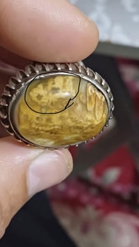 داوودي • كلمة الله • صياغة عراقية