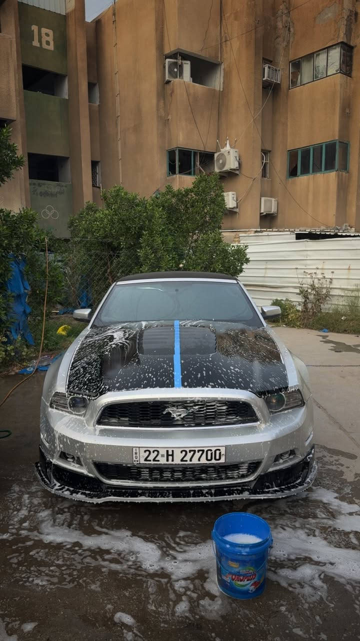 حبايب شلونكم
غراض موستنك للمراوس وشعندك نزل 
سبويلر CS اسود مطفي مراوس بسبويلر اعلى واكبر
ويل فويزن 20 تو سايز لافطر لاعواج لاتصليح جديد 
رايد مراوس بغير نقشة
بنيد شيلبي كاربون للمراوس بغير شكل 
مسطرة بلادية اسود مطفي مراوس بRTR


**إذا كنت صاحب هذا الإعلان وتريد حذفه لأي سبب، رجاءا أرسل رسالة إلى الدعم الفني**