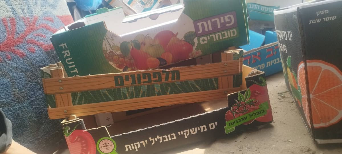 يوجد تقريبآ 100 كرتونة للمزارعين أو للي بحتاجهم بشغلو مواصي خانيونس مقابل محطة المجايدة 0592149092 قطاع غزة, فلسطين


**إذا كنت صاحب هذا الإعلان وتريد حذفه لأي سبب، رجاءا أرسل رسالة إلى الدعم الفني**