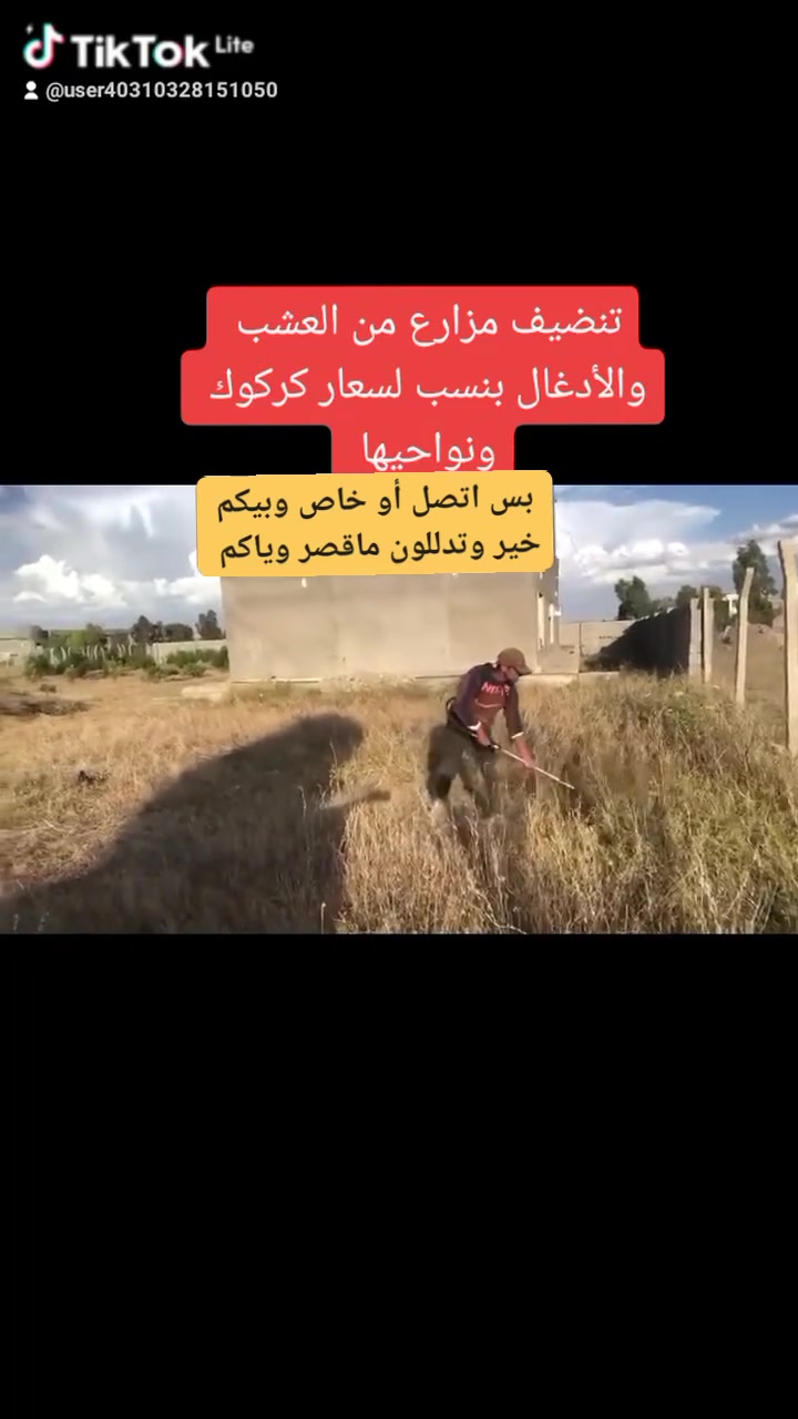 وهذا رقمي واتس آب موجود ***********
