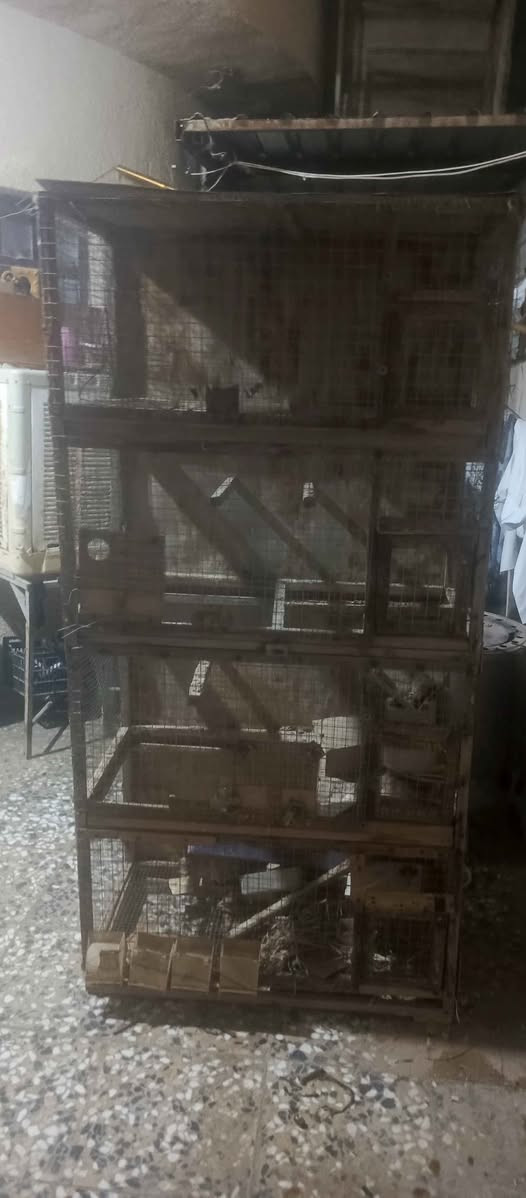 قفص للبيع ارتفاع2متر نزال50 عرض متر مكانب كربلاء حي العسكري قفله 50 الف كربلاء, العراق


**إذا كنت صاحب هذا الإعلان وتريد حذفه لأي سبب، رجاءا أرسل رسالة إلى الدعم الفني**